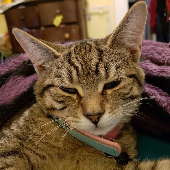 Meet your Posher, Melissa - Picture 5 of 11